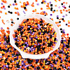Halloween Theme Glass Seed Beads SEED-N007-13J-2