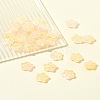 30Pcs Baking Paint Glass Beads GLAA-FS0001-97D-9