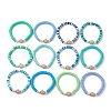 12Pcs 12 Style Synthetic Turquoise Tortoise Stretch Bracelets Set BJEW-JB10097-4