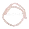 Natural Rose Quartz Beads Strands G-P595-B01-01-3