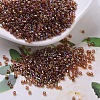 MIYUKI Delica Beads Small X-SEED-J020-DBS0170-1