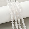 Natural Rainbow Moonstone Beads Strands G-I249-B04-05-6