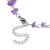 Natural Mixed Gemstone Chips Beaded Necklace NJEW-JN04311-5