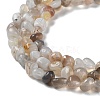 Natural Botswana Agate Beads Strands G-D081-A03-4