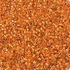 MIYUKI Delica Beads X-SEED-J020-DB0045-4