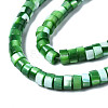 Natural Trochus Shell Beads Strands SHEL-S278-027C-3