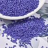 MIYUKI Delica Beads Small X-SEED-J020-DBS1597-1