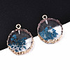 Transparent Clear Epoxy Resin & Dried Flower Pendants RESI-S383-075-C01-3