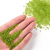 12/0 Glass Seed Beads SEED-A008-2mm-M4-4