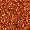 Cylinder Seed Beads SEED-H001-G10-4