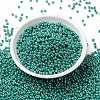 MIYUKI Round Rocailles Beads X-SEED-G008-RR0435-2