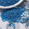 MIYUKI Delica Beads SEED-J020-DB0862-1
