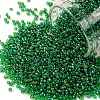 TOHO Round Seed Beads X-SEED-TR15-0167B-1