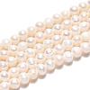Natural Cultured Freshwater Pearl Beads Strands PEAR-N013-04F-2