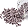 TOHO 6/0 Round Beads X-SEED-TR06-0412F-1