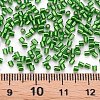 Glass Bugle Beads SEED-S032-08A-27-4