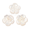 Natural White Shell Carved Beads SSHEL-I026-12F-07-1