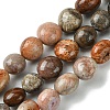 Natural Fossil Coral Beads Strands G-G117-A01-02-1
