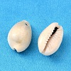 Natural Cowrie Shell Beads X-BSHE-S049-2