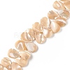 Natural Trochid Shell/Trochus Shell Beads SSHEL-T012-17-1