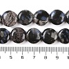 Natural Glaucophane Beads Strands G-C141-E01-03-5