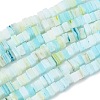 Handmade Lampwork Beads Strands LAMP-Q037-02A-06-1