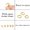 DIY Jewelry Making Finding Kit DIY-YW0009-22G-4