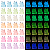 56Pcs 7 Colors Luminous Resin Display Decoration DJEW-OC0001-40-1