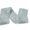 10 Yards Polyester Lace Trim Ribbon OCOR-C004-06J-3