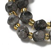 Natural Larvikite Beads Strands G-K387-A02-01-3