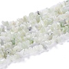 Natural New Jade Chip Bead Strands G-M205-29-3