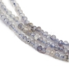 Natural Iolite Beads Strands G-F789-02-5