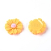 Resin Cabochons LS-RESI-TAC0006-02C-02-1