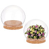  2 Sets High Borosilicate Glass Dome Cover DJEW-NB0001-19-1