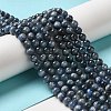Natural Kyanite/Cyanite/Disthene Round Beads Strands G-O017-6mm-04C-5