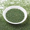 MIYUKI Round Rocailles Beads SEED-X0054-RR0375-2