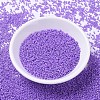 MIYUKI Delica Beads SEED-MY11-DB1379-2