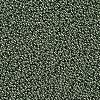 11/0 FGB Grade A Round Glass Seed Beads SEED-N001-C-0567-2