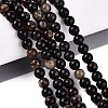 Natural Biotite Beads Strands G-Q616-01B-1