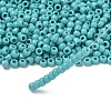 TOHO 6/0 Round Beads SEED-TR06-0055-2