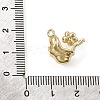 Brass Micro Pave Clear Cubic Zirconia Charms CU-CBA3D76-16G-3
