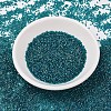MIYUKI Delica Beads SEED-MY11-DB1764-2