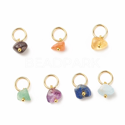 7Pcs 7 Styles Natural Stone Chip Charms PALLOY-JF01485-01-1