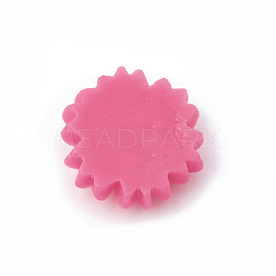 Resin Cabochons CRES-N007-10B-1