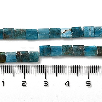 Natural Apatite Beads Strands G-F762-A19-01-1