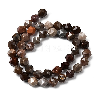 Natural Petrified Wood Beads Strands G-Z119-A21-02-1