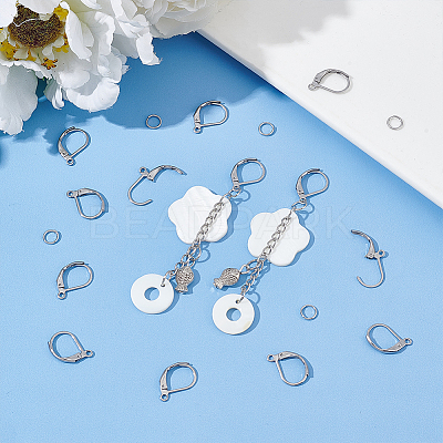 40Pcs 201 Stainless Steel Leverback Earrings Findings STAS-UN0041-84-1