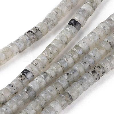 Natural Labradorite Beads Strands G-L528-08-1