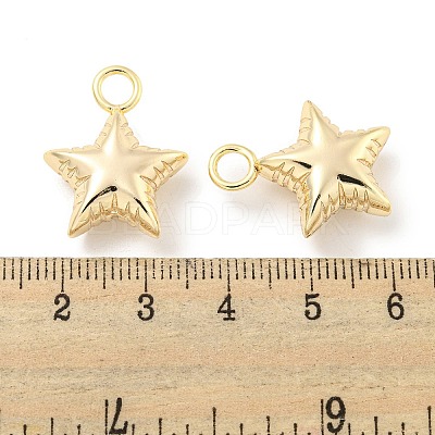 Brass Pendants KK-L211-009G-03-1