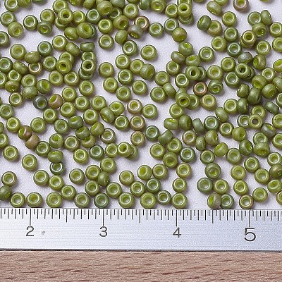MIYUKI Round Rocailles Beads SEED-X0054-RR2033-1